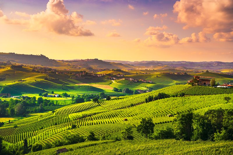 Rolling vineyards and fields in the Italian countryside at sunset